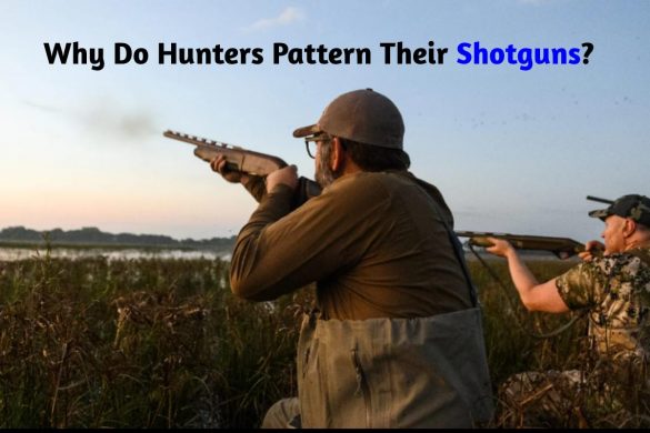 Why Do Hunters Pattern Their Shotguns