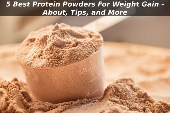 5 Best Protein Powders For Weight Gain - About, Tips, and More