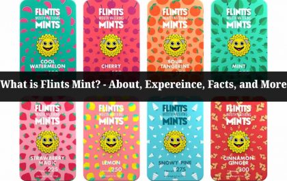 What is Flints Mint? - About, Expereince, Facts, and More