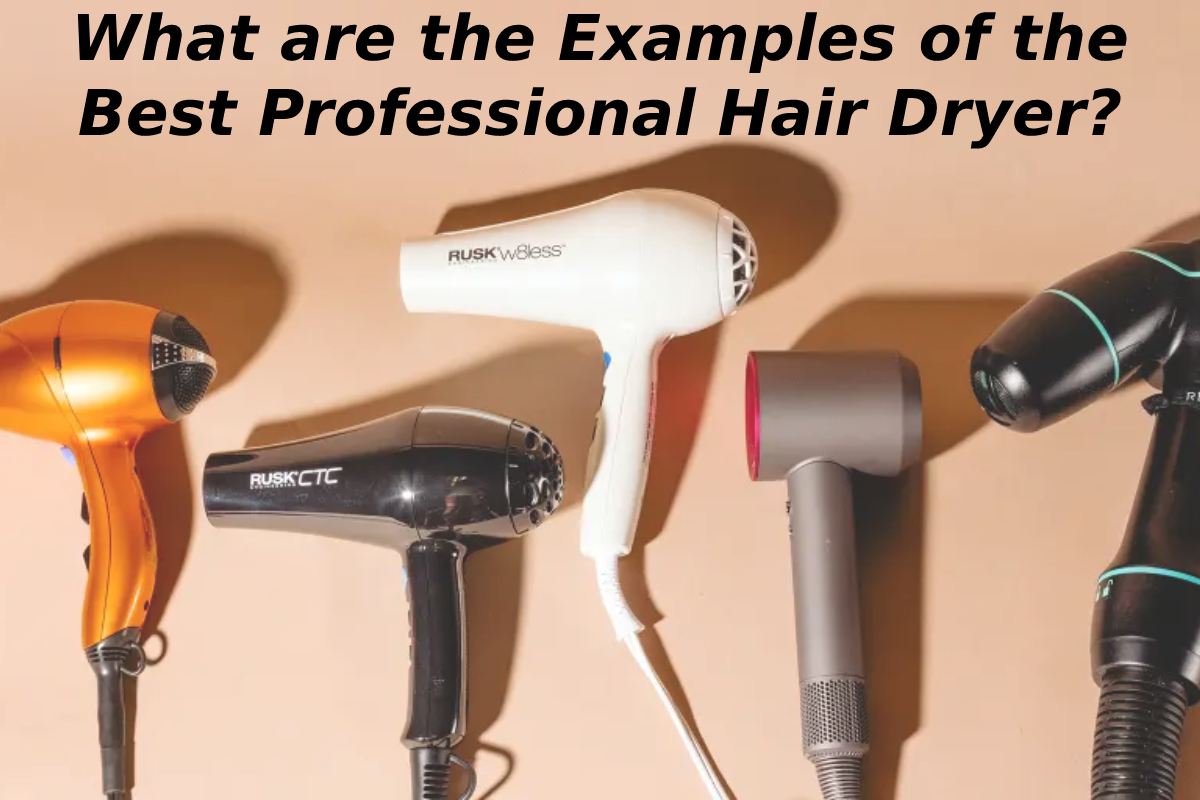 What are the Examples of the Best Professional Hair Dryer?