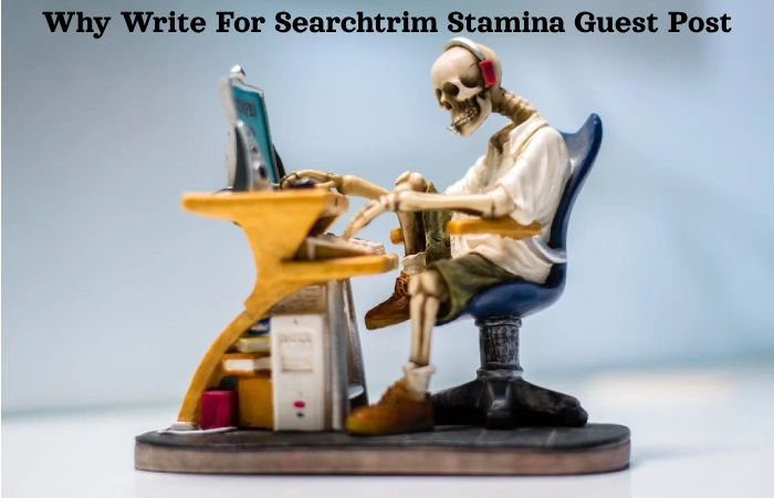Why Write For Searchtrim Stamina Guest Post