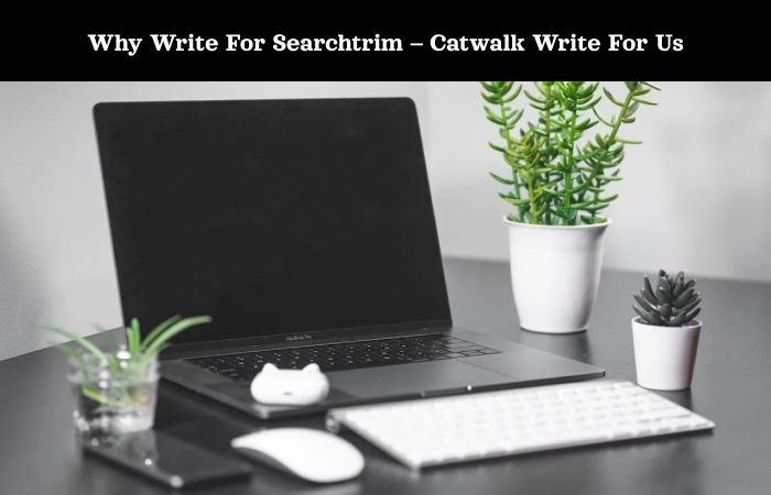 Why Write For Searchtrim – Catwalk Write For Us